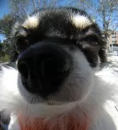 コンデジで「画角180度」の超広角写真を撮ってみた