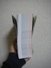 まるで辞書並み!?　分厚すぎるポケモン攻略本の謎