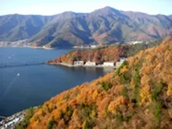 まるでライブ中継!?　河口湖レトロバスに乗った