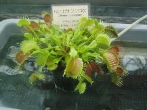 ワインをあけた瞬間にやってくる憎いアイツ