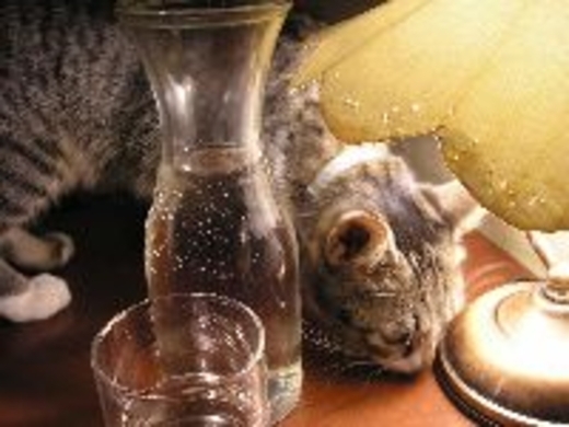 女の敵と呼ばれた哲学者の言葉について エキサイトニュース