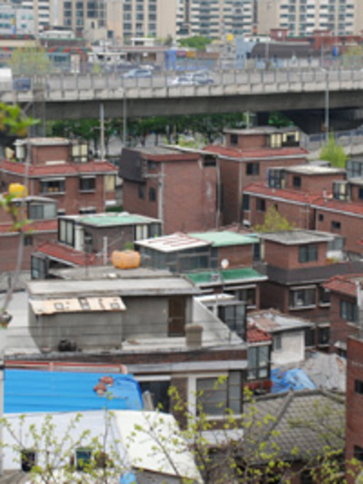 韓国になぜか多い 山岡士郎の家 エキサイトニュース