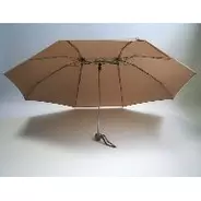 相合い傘、しませんか