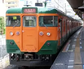 湘南電車が千葉に復活、早速乗りに行ってみたが……