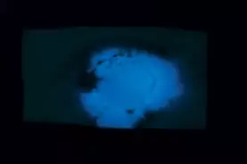 科学的な鑑識捜査“ごっこ”を体験してみよう