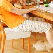 若者や女性にも広まるステテコ人気