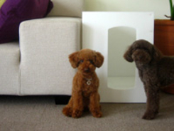 犬語翻訳機 バウリンガル の改良版が登場 エキサイトニュース