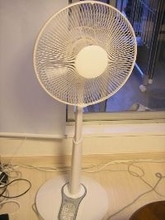 いま改めて知りたい、「扇風機」の選び方・使い方