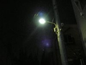 室内に、大きな蛾が！　そのとき……