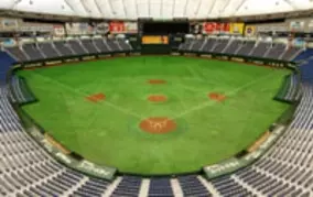 野球場のフェンスの色、規定はないの？