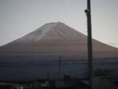 「微乳好き」を主張したがる男性の心理とは