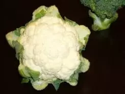 カリフラワーも、がんばっている