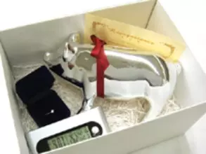 『強制入籍セット』で、恋の重力に逆らう