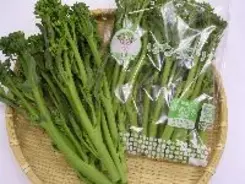 “はなっこりー”って、何者だ？