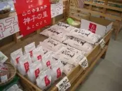 日本のお米、遥かローマへ