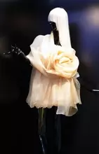 間伐材で作った服