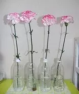 カーネーション、日持ちさせるには？