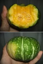 生で食べられるカボチャ