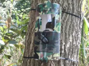 青色を利用した昆虫捕獲器