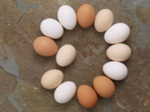 卵をグルグル回し 温めたら なぜか プリン になっていたので 食べてみた エキサイトニュース