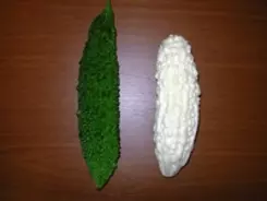 白いゴーヤーを発見！　その正体は？