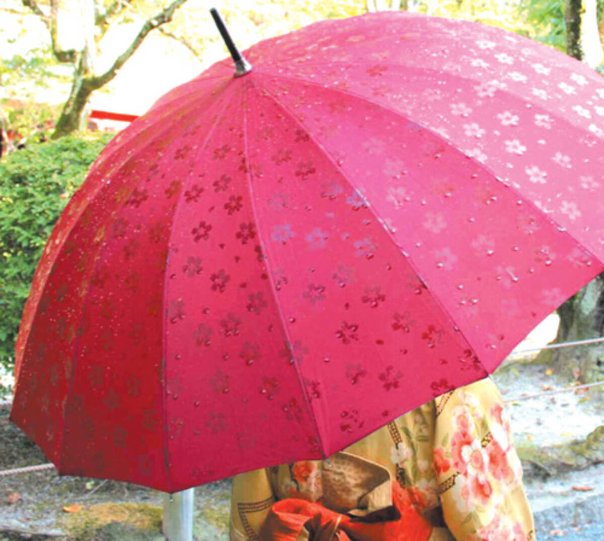 雨に濡れると 柄が浮き出る傘 エキサイトニュース