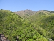 「鼻水」「鼻づまり」に、順番はあるの？