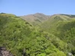 「鼻水」「鼻づまり」に、順番はあるの？