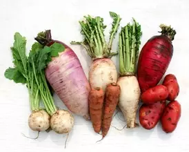 本物の未来へつながる、本物の野菜とは何か