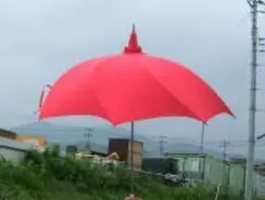 世界初！　骨組みが渦巻き状の傘