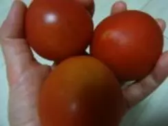 野菜の「下ごしらえ」の常識は変わってきた？