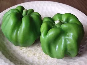 ピーマンそっくり、信州の伝統野菜とは？