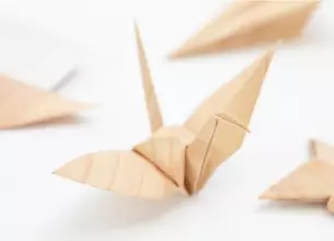 手触りや香りで森を感じられる紙『きのかみ』