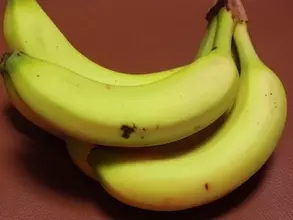 「遠足のおやつ」、今は変わってきてる？