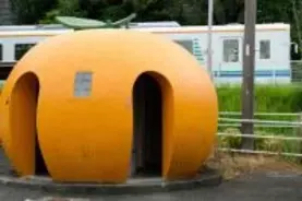 個性派トイレ、利用者たちの熱き思い!!