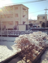 「寒いのに立春？」の疑問を解消！　 “日本版”二十四節気をつくる取り組み