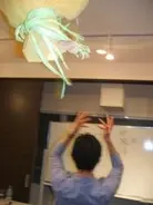 「離婚式マナー講座」受講してみた