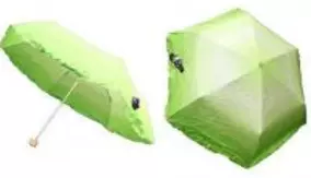 レタスみたいな傘