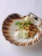 世界が注目する美食エリア！　北欧料理のマニフェスト
