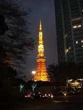 スカイツリー開業後、東京タワーの人気はどうなった？