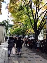 行列でケンカするカップル・夫婦が多い理由