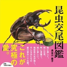 女性の藝大生が一人で作った「昆虫交尾図鑑」。作者の長谷川さん登場！