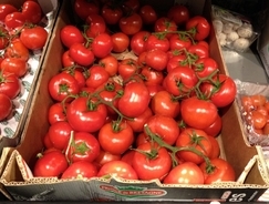 「トマトは果物」　ウソorホント？