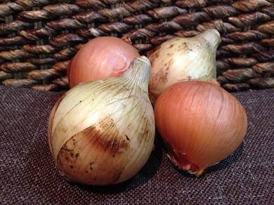 fumikaの動画が泣けると話題！　どのくらい泣けるか検証してみた。