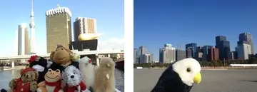 世にも珍しい“ぬいぐるみ専門の旅行会社”、感動の実話が一冊の本に！