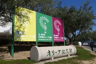 "ハート型の葉"で幸せになれる伝説も。ギリシャのように美しい「小豆島オリーブ公園」　