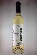 大阪ではその昔“ワイン”が造られていた!? 　幻のブドウが現代に復活！