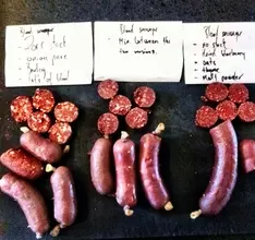 なぜアリを料理に使うのか？　世界一のレストラン「NOMA（ノーマ）」の秘密に迫る本