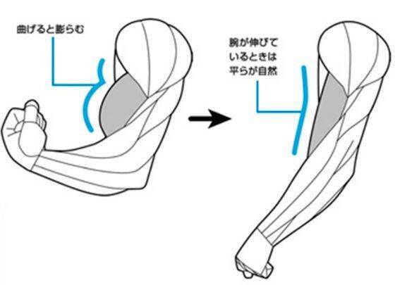 ヒモ男と大工ではぜんぜん違う 実は奥が深い 男の筋肉の描き方 エキサイトニュース 2 3