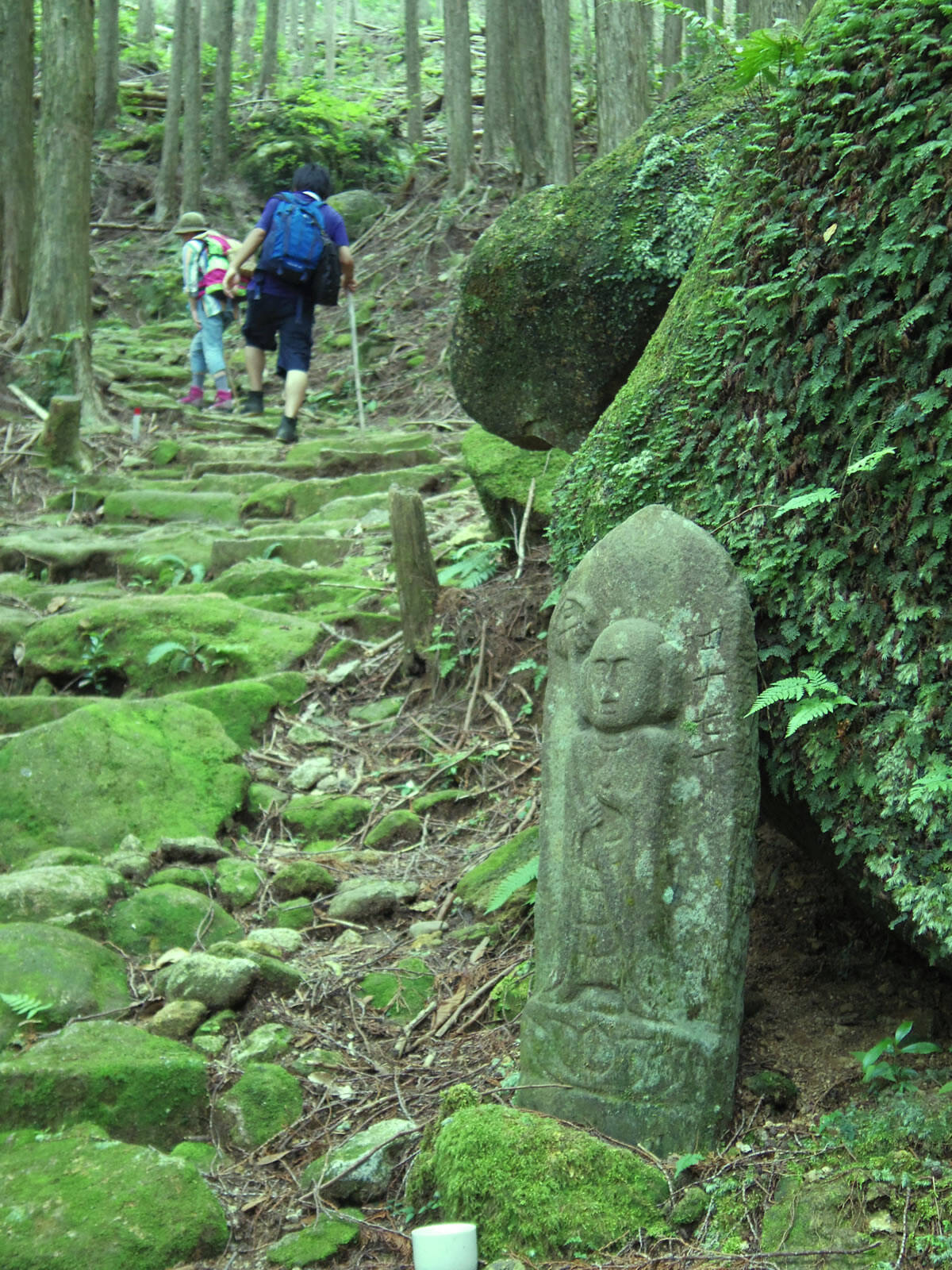 「熊野古道伊勢路」は日本一贅沢な巡礼路だった？